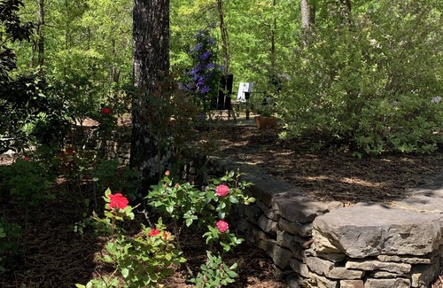 Ferndale Apartment | Discover a Serene Forest Retreat Minutes from the City
