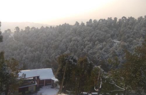 Shimla House | Family-Friendly A.R. Homestay with 9.5/10 Guest Rating