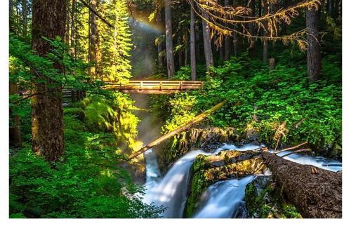 Beaver House | Idyllic Retreat: SolDuc River Cabin with Family Amenities