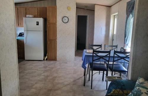 Mojave Desert House | Relaxing Retreat After Exploring Death Valley's Wonders