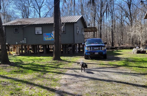 Jefferson House | Rustic Retreat on Caddo Lake: Fishing, Kayaking & More