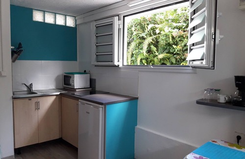 Schoelcher Apartment | Relaxing Studio in Quiet Residential Quarter with Ocean View
