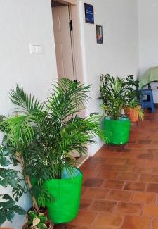 Vijayanagar House | Perfect Yoga Retreat at Karimbumel House with Wide Balcony