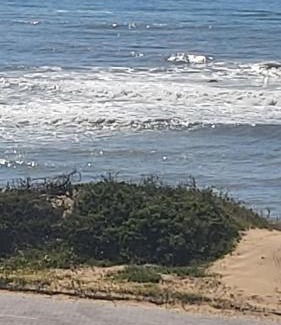 Port Alfred House | Oceanfront A-View-at-Kingfisher: Rated 9/10 & Family-Friendly