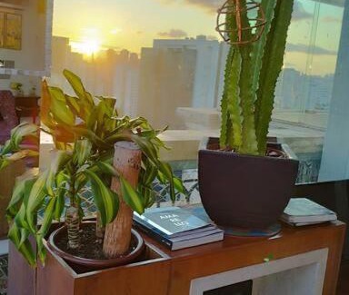 Campo Belo Apartment | Experience Views That Make the Journey Worthwhile!