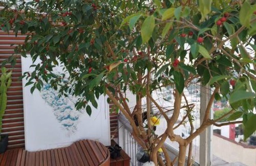 Campo Belo Apartment | Experience Views That Make the Journey Worthwhile!
