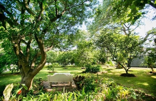 Victoria Falls Villa | A wonderful 5 bedroomed, 4 bathroom Villa with swimming pool, gym, garden of the highest quality - 2215
