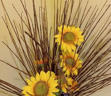 Castelnuovo di Porto Bed & Breakfast | Comfortable A1 Girasole B&B with Great Guest Reviews