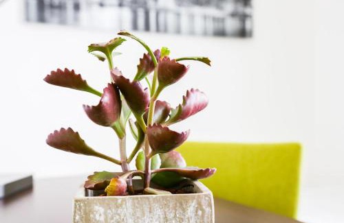 Oberhonnefeld-Gierend Hotel | Pet-Friendly A3 Hotel with Family Amenities & Great Reviews