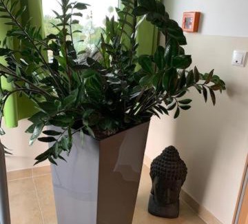 Oberhonnefeld-Gierend Hotel | Pet-Friendly A3 Hotel with Family Amenities & Great Reviews