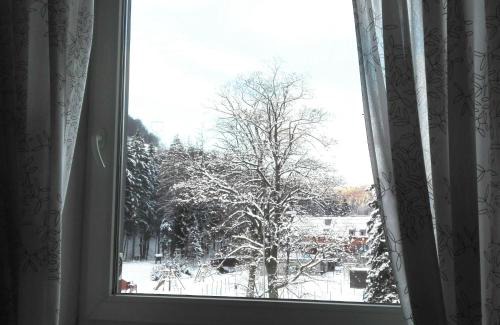 Loucna nad Desnou Apartment | Family-Friendly Retreat with 9.4/10 Guest Reviews