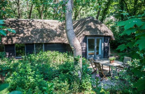 Zeegse House | Exceptional Aa Casia vakantiehuis - Breakfast & Family Friendly