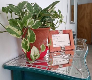 Cordoba Apartment | Pet-Friendly AA Departamento Flat Premium Córdoba - Rated 9.6