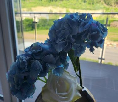 Diegten Apartment | Family-Friendly Aaki Apartment Diegten with High Guest Ratings