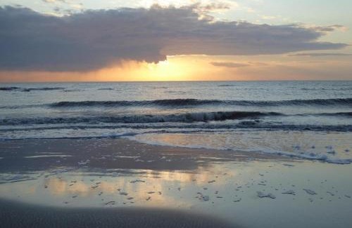 St. Peter-Ording House | Relax at Aalernhus Residences with Private Pool & Spa