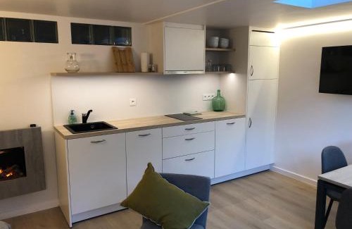 Ename House | Relax at Aan 't Bos: Family-Friendly with Sauna Access