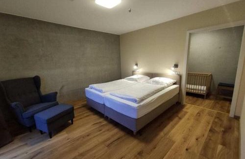 Wiesentheid House | Family-Friendly Aardehuis Appartement with Pool & Kitchen