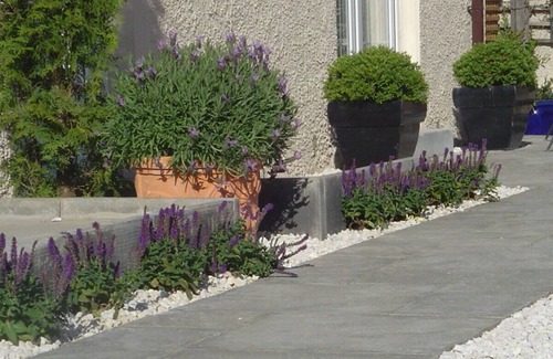 Loanhead Apartment | Aaron Glen Apartments