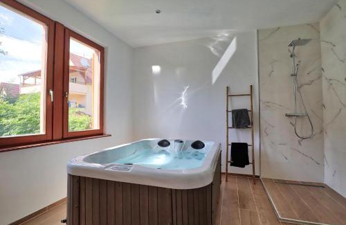 Benfeld Apartment | Relax at Ab Gite et Spa: Family-Friendly with a Hot Tub
