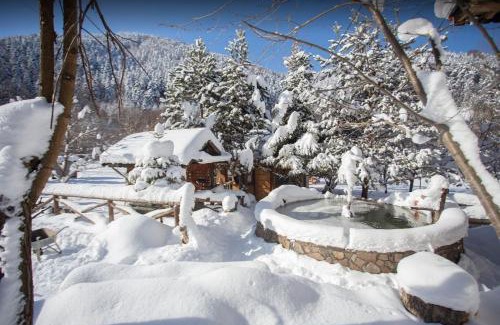 Dereceoren House | Discover Abant Yeşil Vadi Koç Pansiyon: 8.7/10 & Family-Friendly