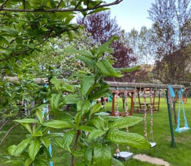 Dereceoren House | Discover Abant Yeşil Vadi Koç Pansiyon: 8.7/10 & Family-Friendly