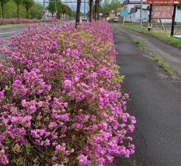 Yobito Hotel | Family-Friendly Stay at Abashiri Hotel: Your Relaxing Retreat