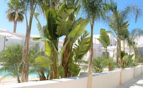 Fanusa Bed & Breakfast | Inviting Abbèntu B&B: 4-Star Retreat with Ocean Views