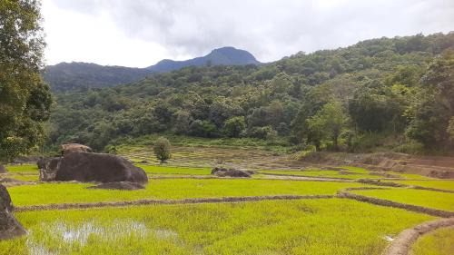 Meemure Hotel | Discover Abimansala Resort: Pet-Friendly Retreat with 9.3 Rating