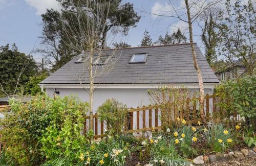 Raymonds Hill House | Pet-Friendly Abode: 4-Star Comfort with a 9/10 Rating