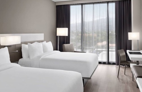 New Kingston Hotel | Discover AC Hotel by Marriott Kingston: Family-Friendly Retreat