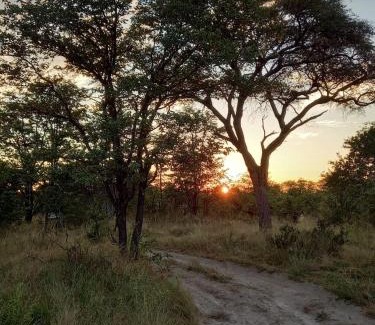 Maun Other | Family-Friendly Mankwe Camping with Pool and Breakfast