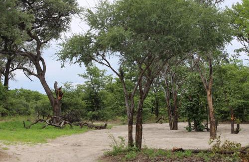 Maun Other | Family-Friendly Mankwe Camping with Pool and Breakfast