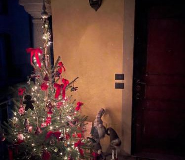 Lesa Apartment | Acacia Tree Lodge il tuo rifugio sul Lago Maggiore