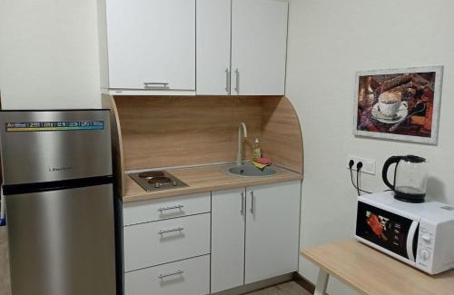 Kharkiv Apartment | Pet-Friendly Academic St. Apartment with Top Review Score