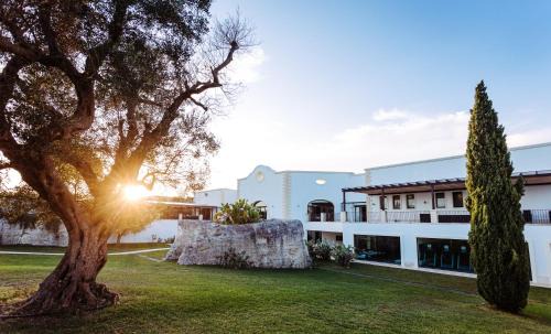 Acaya Hotel | Explore Acaya Golf Resort & Spa: Pet-Friendly Oceanfront Retreat