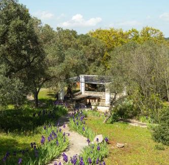 Ceglie Messapica Villa | Accademia degli Inquieti - Casina Gargiulo