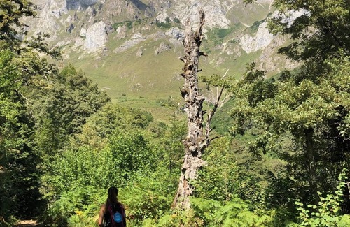 Cosgaya Apartment | Cozy Mountain Apartment Near Picos de Europa Awaits You