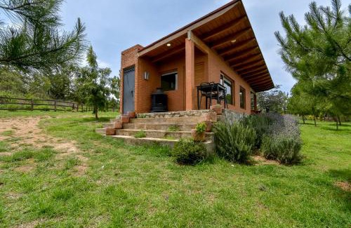 Tapalpa House | Acogedora cabaña en el bosque Tlapalpa