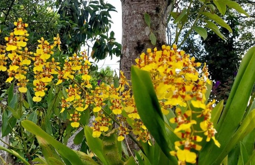 Retiro Ski Chalet | Inviting Country House in Eastern Antioquia, Pet Friendly