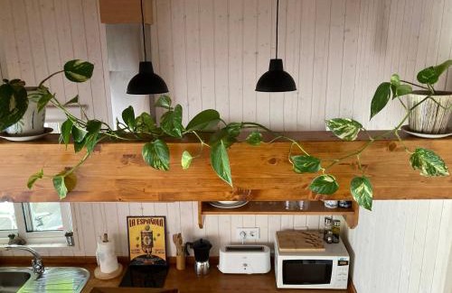 Ribadeo Apartment | Cozy Oceanfront Retreat in Rinlo, Ribadeo - Pet Friendly