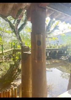 Ilha Grande House | Idyllic Aconchego da Lu: Oceanfront Stay with Breakfast