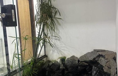 Bandeirantes House | Cozy Aconchego do Descanso: Family and Pet Friendly Stay