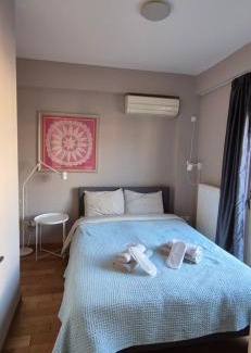 Athens City Centre Apartment | Elegant AcroPool Penthouse with Private Pool & Acropolis View