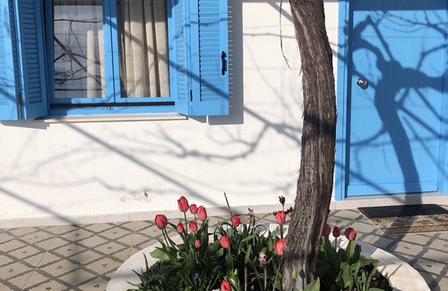 Kozani Other | Cozy Acrotel Sofia's Guest House with Breakfast Included