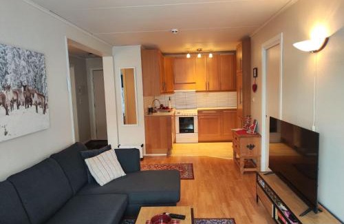 Al House | Cozy Actif 329 - Ideal Stay near Ål Skisenter with Pool