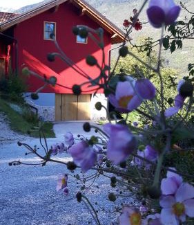 Spormaggiore Bed & Breakfast | Discover Activity Appartamento Vacanze: Rated 9.5/10 Stay