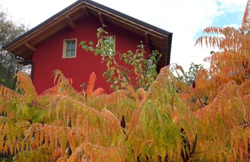 Spormaggiore Bed & Breakfast | Discover Activity Appartamento Vacanze: Rated 9.5/10 Stay