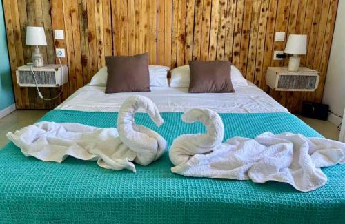 Roda Apartment | Comfortable Stays at Actru's Homes - Pet and Child Friendly