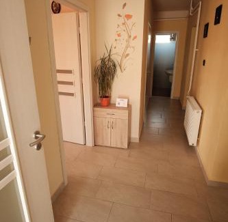 Sarvar Apartment | Guest Rated 10/10 Adél Apartment with Family Amenities