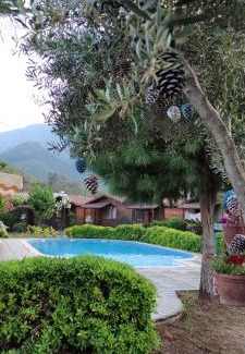 Adrasan Hotel | Pet-Friendly Getaway at Ada Adrasan Hotel with Pool & Dining